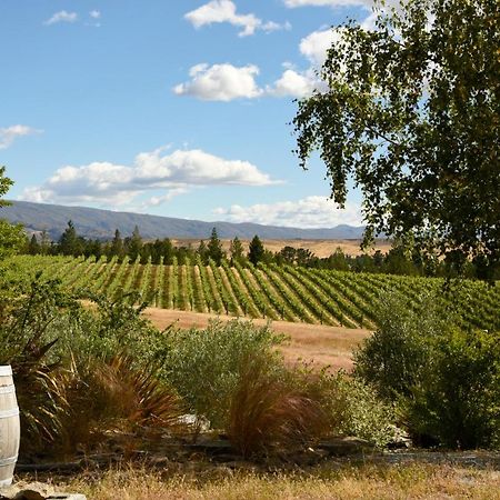 Grey Ridge Vineyard Experience Bed & Breakfast Alexandra Exterior foto