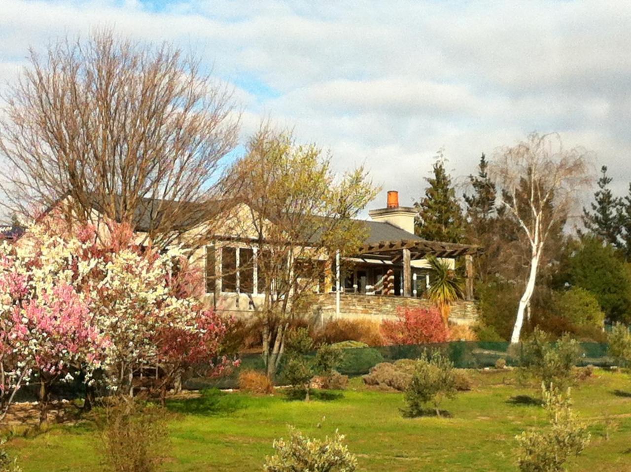 Grey Ridge Vineyard Experience Bed & Breakfast Alexandra Exterior foto