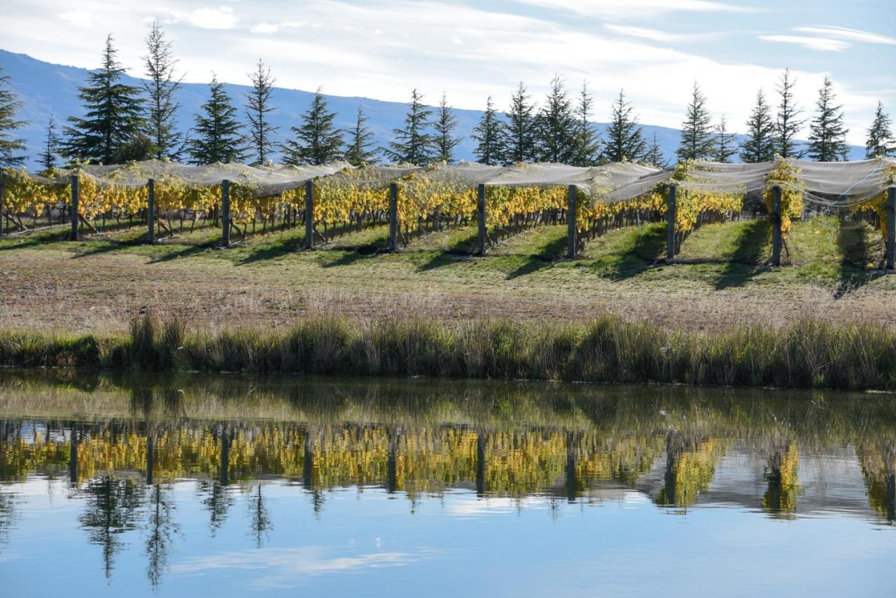 Grey Ridge Vineyard Experience Bed & Breakfast Alexandra Exterior foto