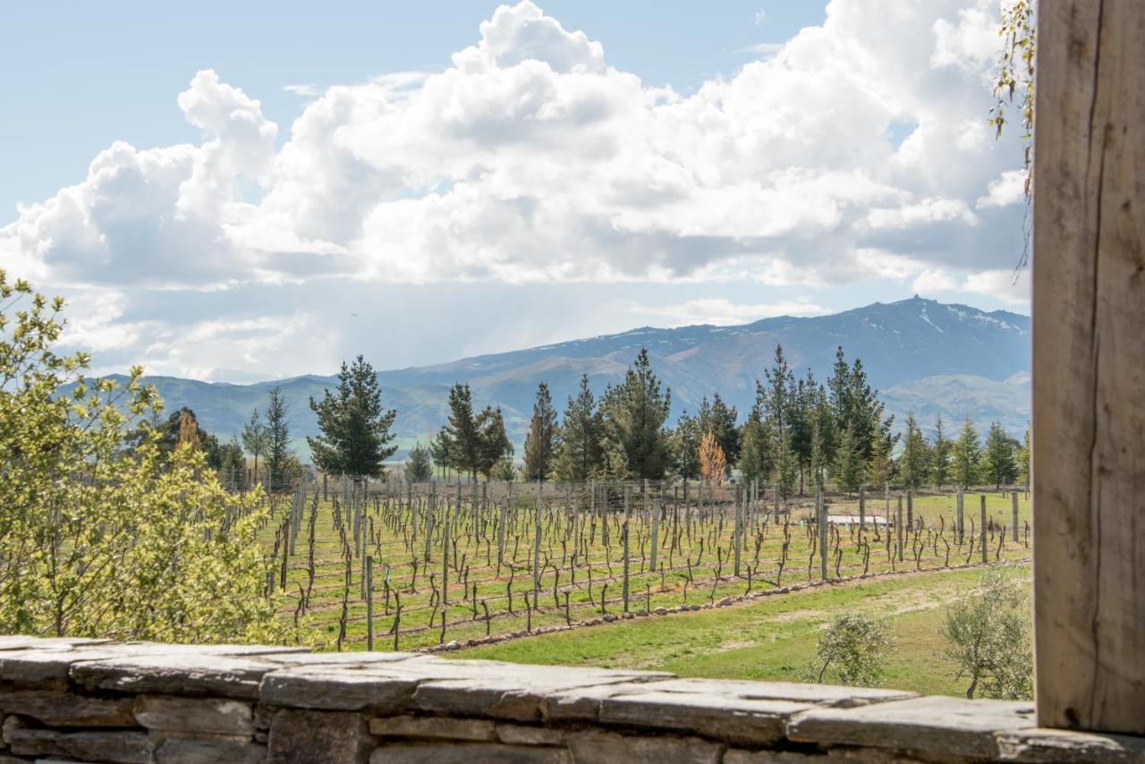 Grey Ridge Vineyard Experience Bed & Breakfast Alexandra Exterior foto