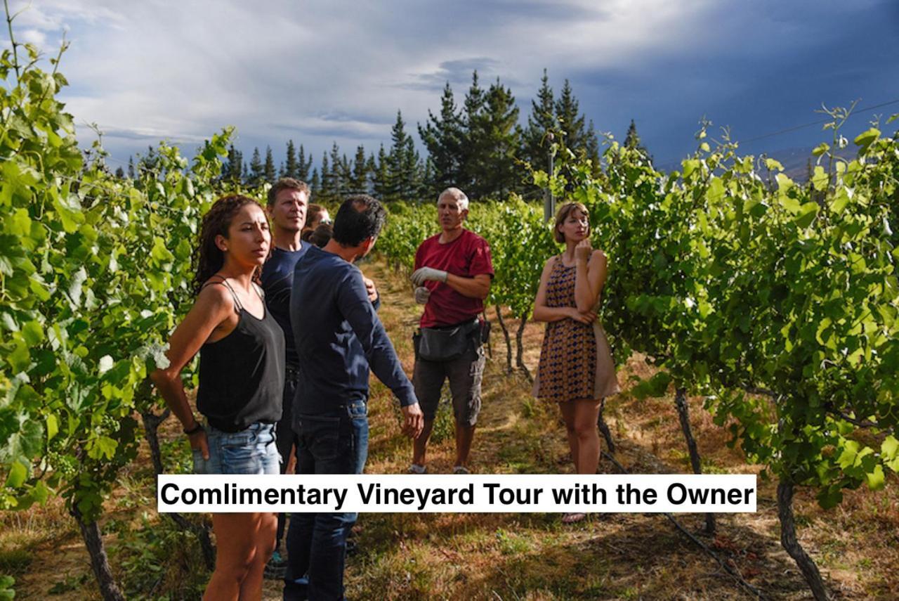 Grey Ridge Vineyard Experience Bed & Breakfast Alexandra Exterior foto